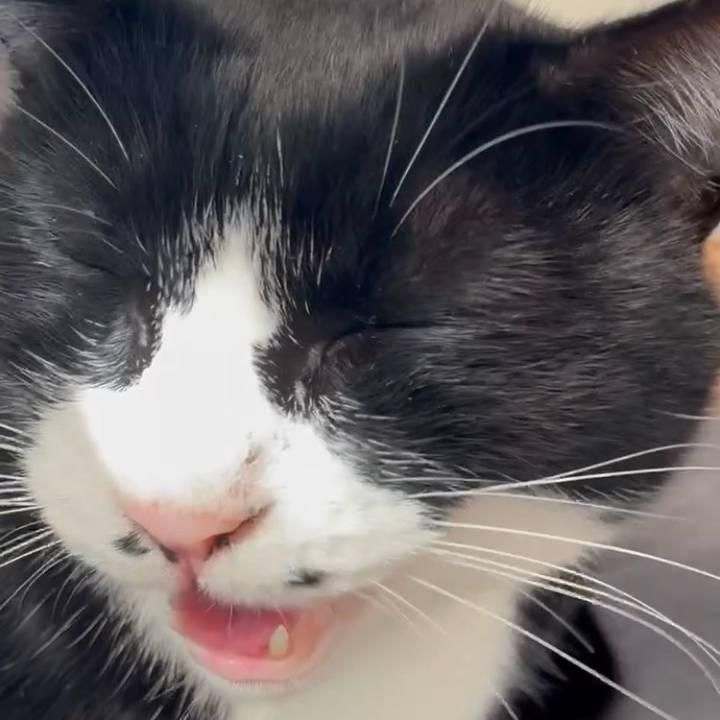 523ccbfb 9430 4c19 84b4 5384806f9314 1761983689286