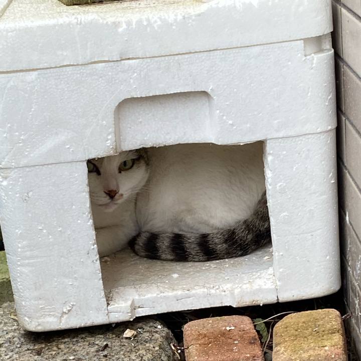 523cd1f2 1313 458a 802e adc79e5d7d23 1638933389046