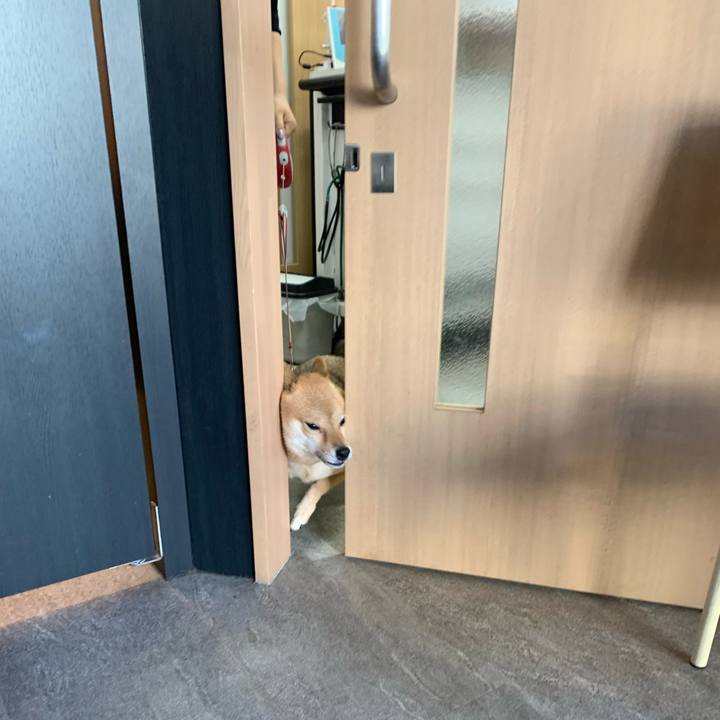 523cd40e a0ad 4153 8849 c80b02fe19a0 1764840926057