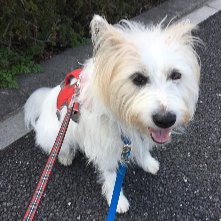 523cd557 9c65 492f a63b 2aba8a7d2581 1543388996987