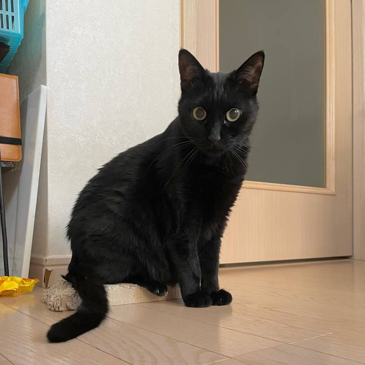 523d0056 37b0 48eb 98c8 444fcc5299d0 1767482146252