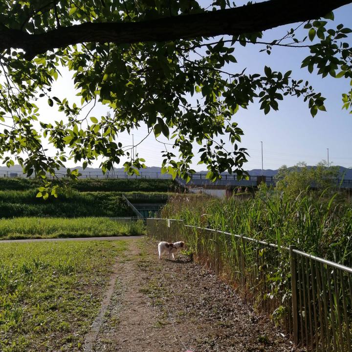 523d0437 216f 4199 8c66 e5af5dbac103 1620608598011