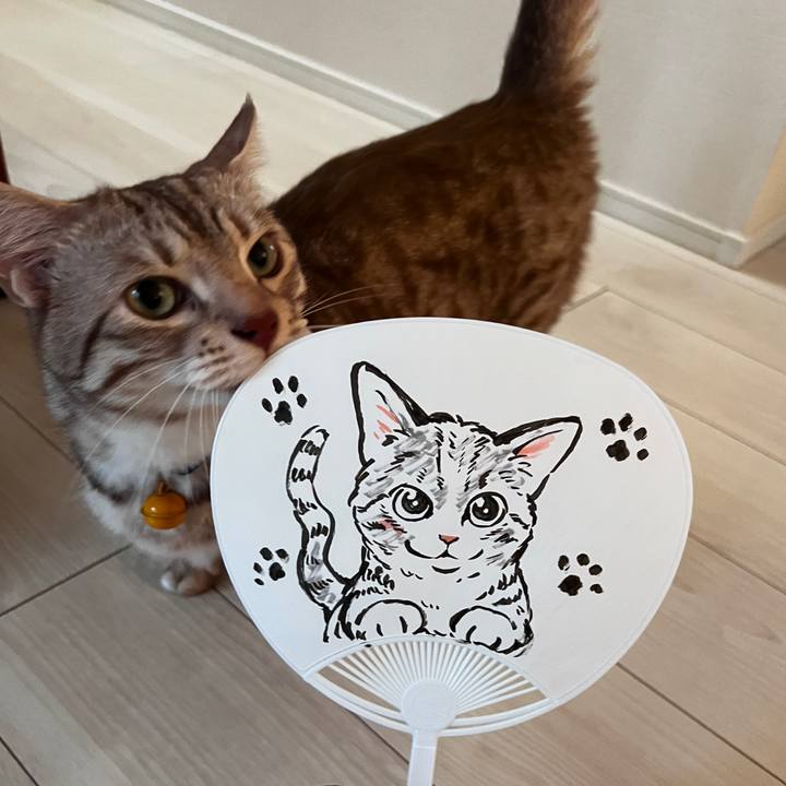 523d32f0 5554 423a 81bd ba5d7e5f7744 1721553024835