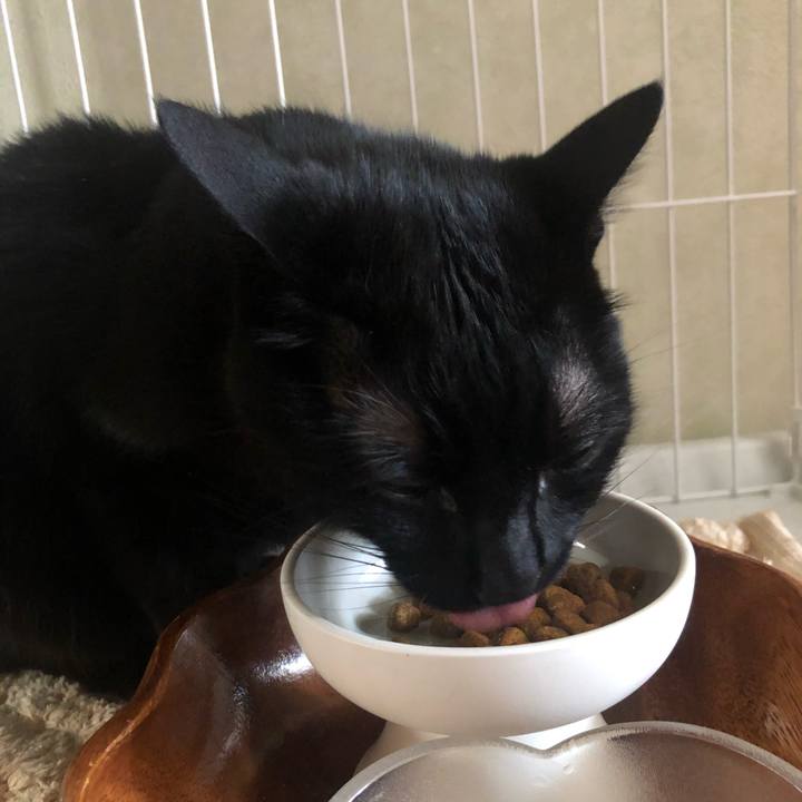 523d37b7 0cdb 49b1 8e9f 27fce41e6aca 1591317279940