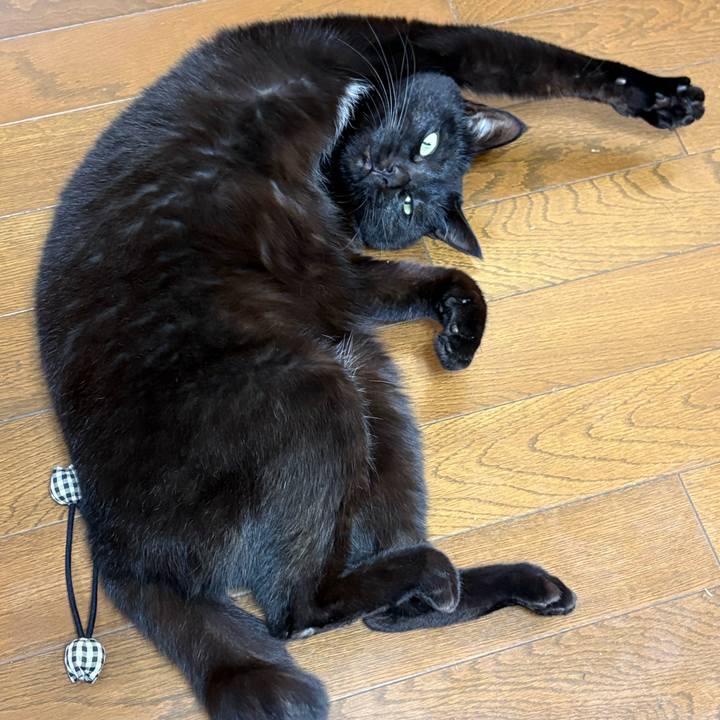 523d49ac 8baf 435b 949e bdf3495e3a89 1765970883235