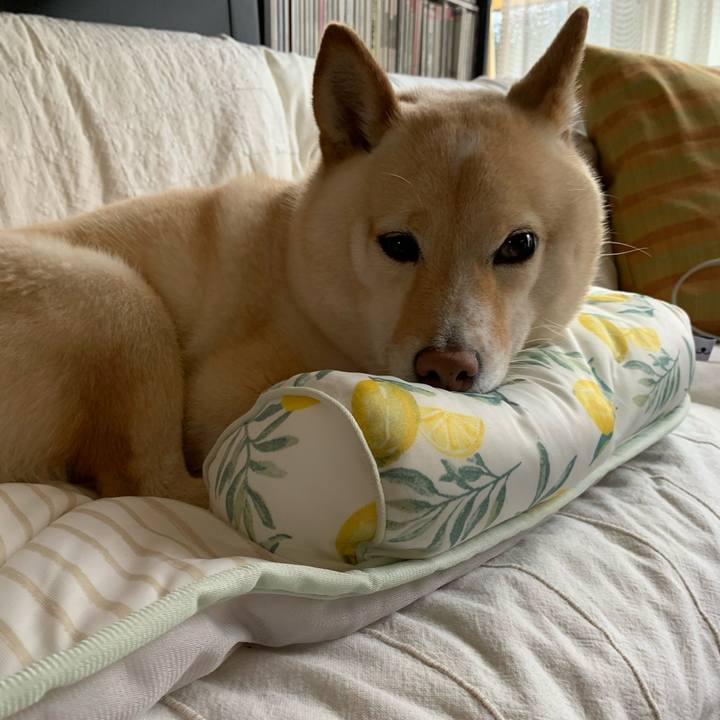 523d86ca e360 459a aecc 5270d01786b0 1622415930390