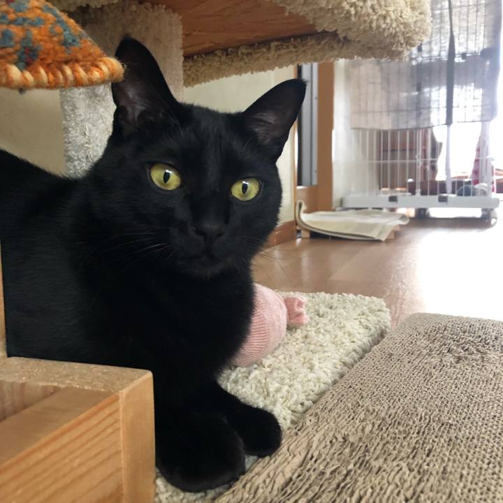 523d8ac0 e398 43d7 825d 44df4fd7a15e 1555461270916