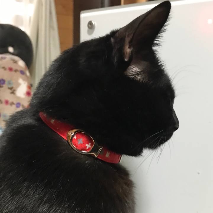 523dc051 e3b3 454c a1d0 bea7d48a558d 1520492084986