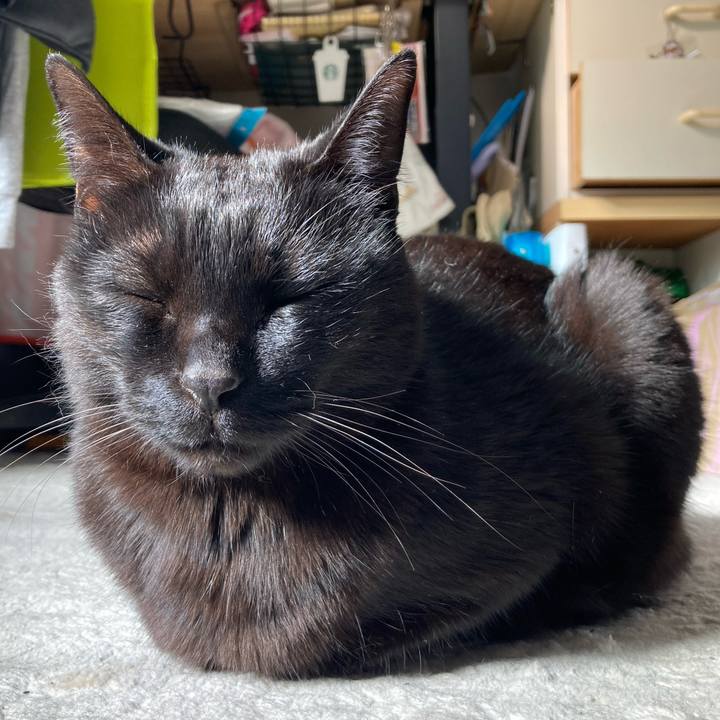 523dc295 4723 4a6e a163 6eb914aeb546 1776309990183