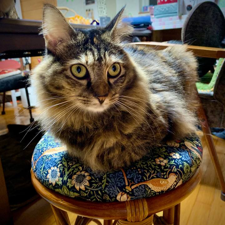 523df3ee 9803 4053 9760 50c1d25b0b62 1667728454380