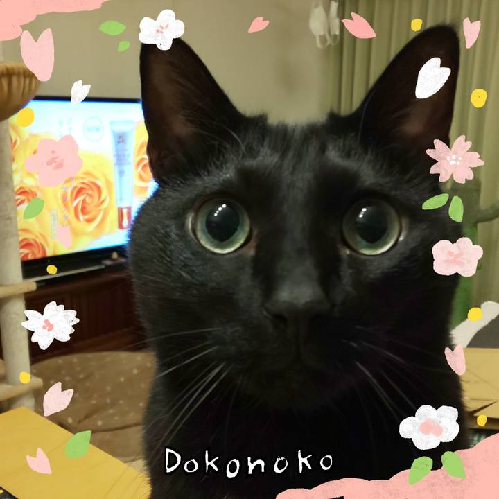 523e066c 0d02 448a 87df c813d6fa9ca0 1711014497943