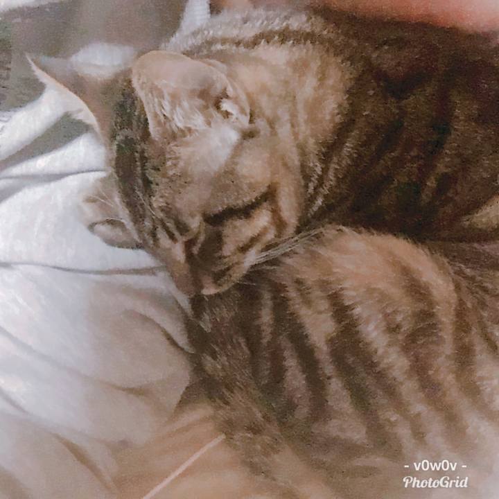 523e1381 986c 4f66 84e5 515aaf6fcef8 1547159258698