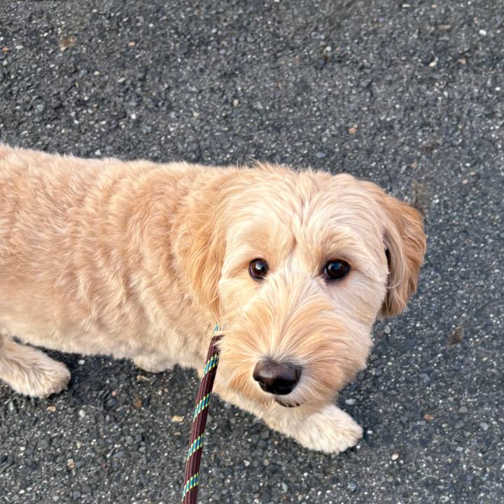 523e1d9a 9f2c 4cdc a123 a21c7c3f459c 1761559237645