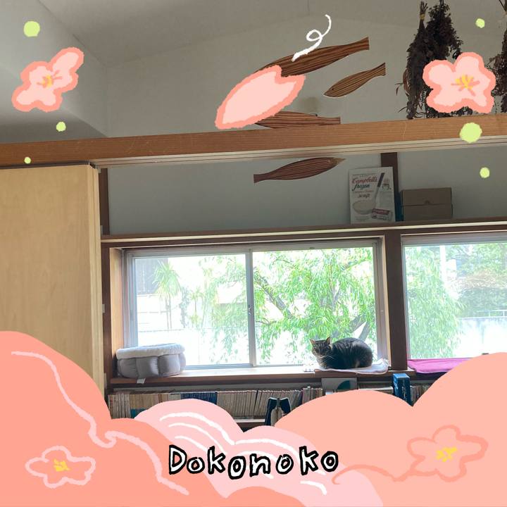 523e20c9 3538 45c6 bf3a 3c85ef3e8eca 1775871039896