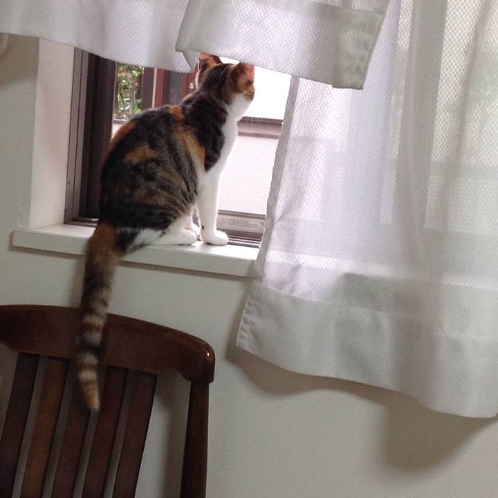 523e3aea ef91 4def 8364 54a2a486a127 1628720645162