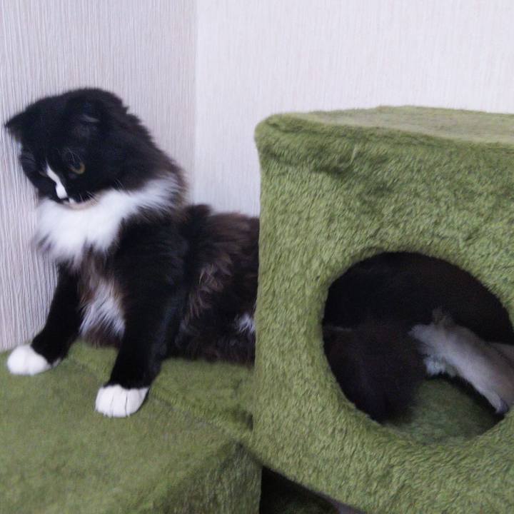 523e56e8 1d99 41b4 9018 1c57b922db7a 1654411947521