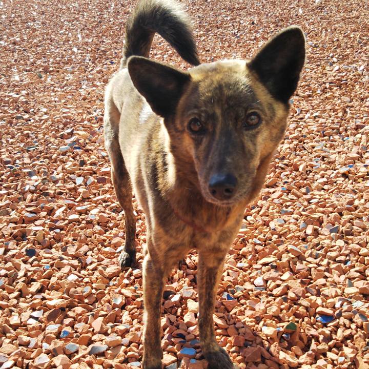 523e7ff8 a633 45af 8a35 da9f33862bb3 1576377188482