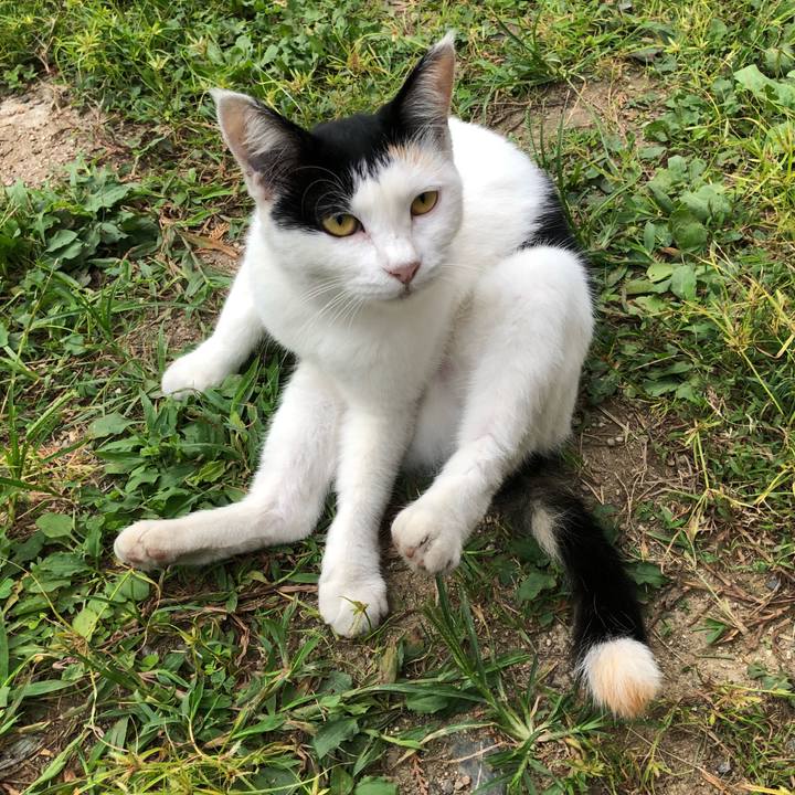 523e93a1 e686 47ac 9010 701bd0fb56a6 1599603669244