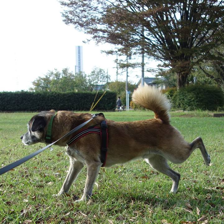 523eaf90 7df6 49bc b9b3 355e59a79f07 1649637842035