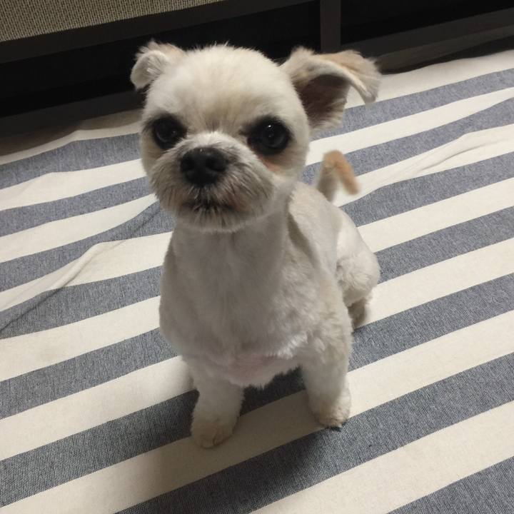 523ef348 b809 4128 85b8 d06ba8eb1b0c 1530874405647