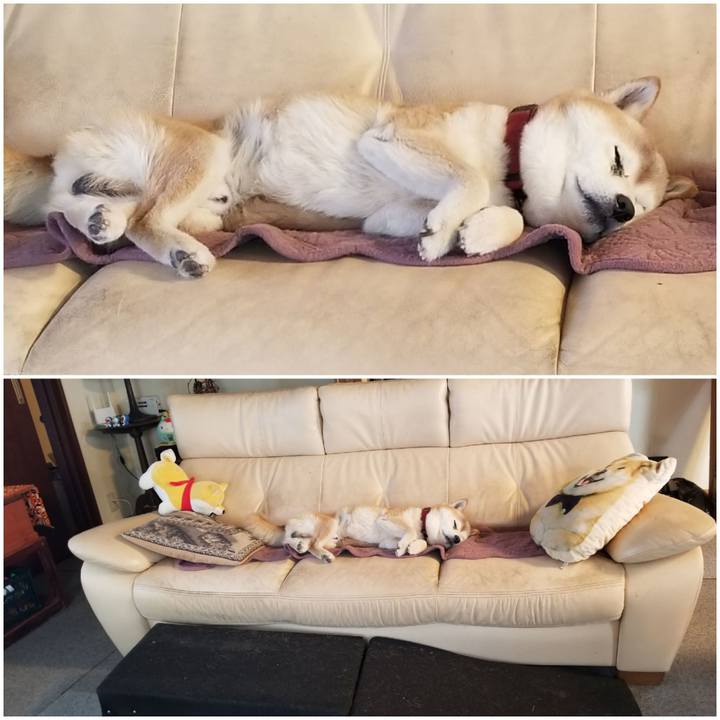 523f1727 9b87 4b5f a6ea d919ef6b3aac 1763944257095