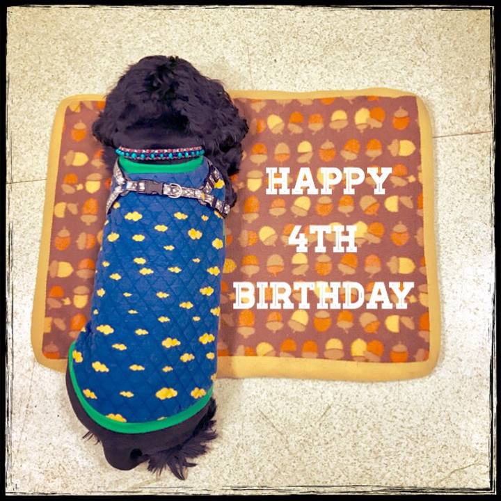 523f277c 7662 4405 b465 83963a0dce7f 1519735238704