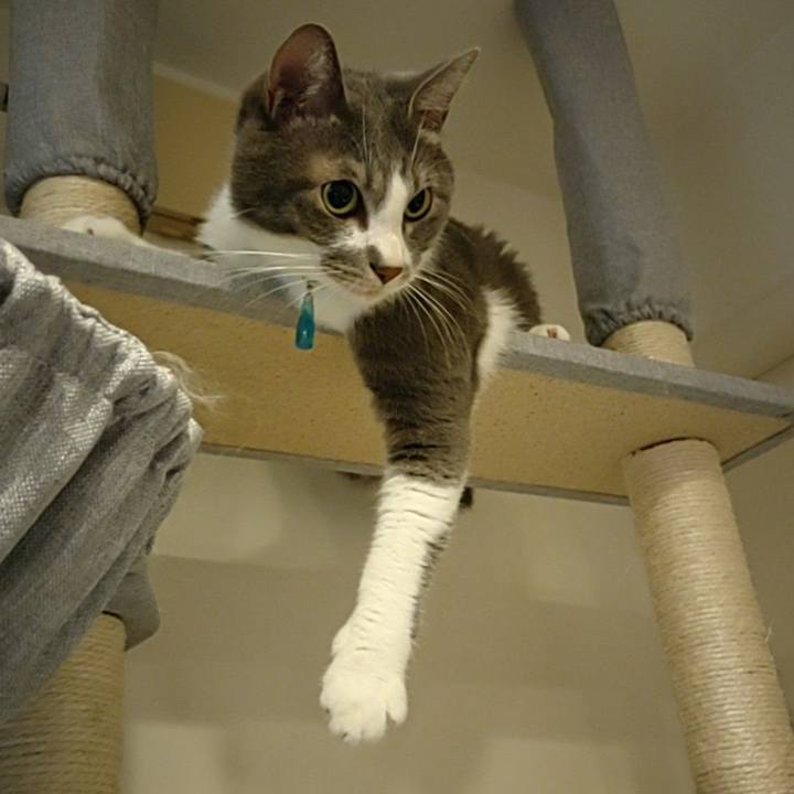 523f3a89 c03a 461f 9616 0bde370dd0a9 1661515249576