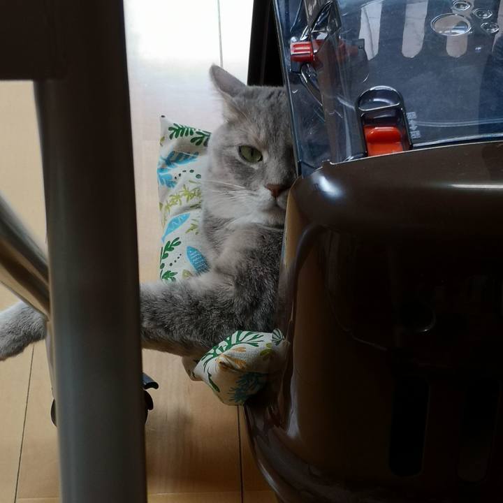 523f4f66 4ad6 4e85 81cd c95040c7eba8 1566876457167