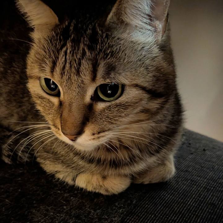 523f8172 7f09 48dc 873b adf842e097f2 1773268455567