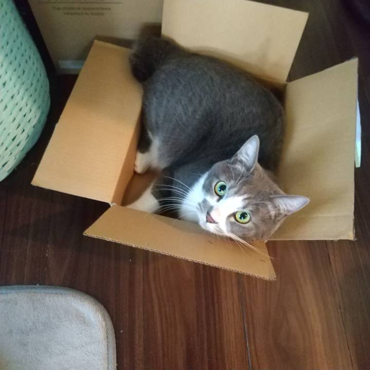 523f9192 5e85 421c 8a5b 75d2d642aa93 1639610267771