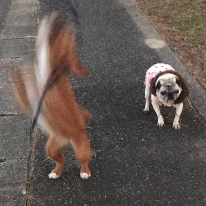 523fb467 9247 4f0d 9b09 bec8b91dc6a6 1546762210723