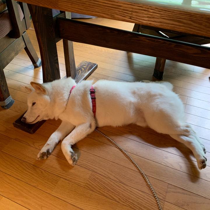 5240147c 13f5 40ac a8ba 08359da30f2c 1564386282359