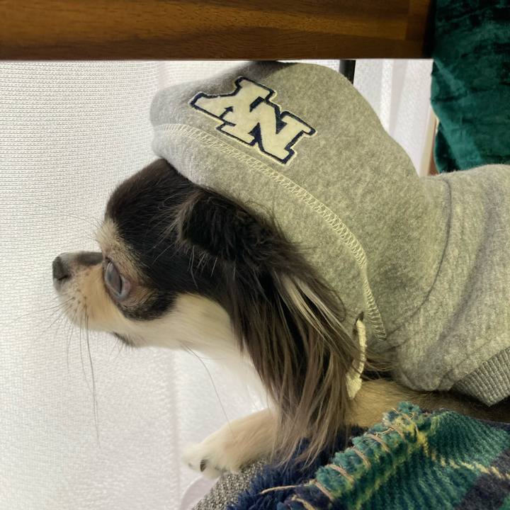 52403e7b 41b8 4111 99dd fa49df6b2448 1645242234715