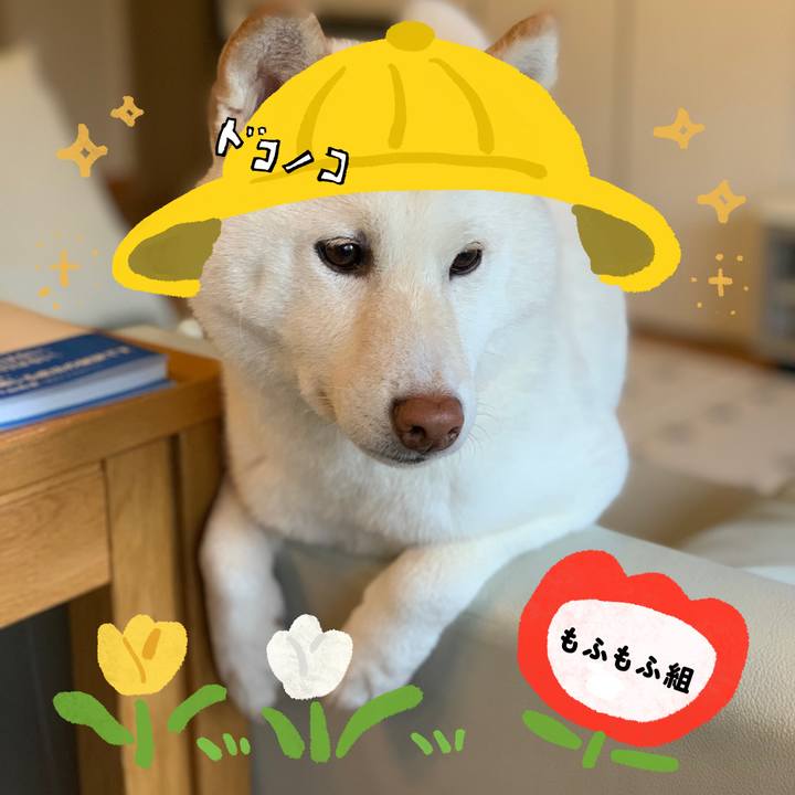 52404e47 57c5 4116 8e95 4245a9b3e6ac 1712288887503