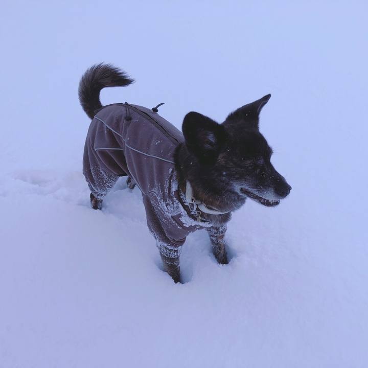 5240680f 8367 4332 9d78 da0835999fdb 1610169657146