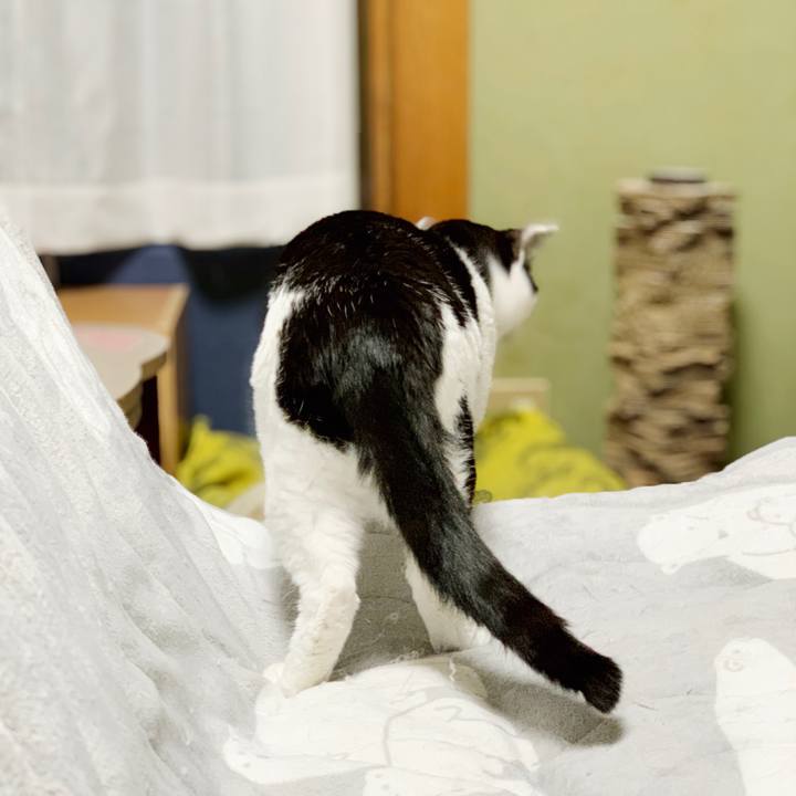 524073aa e4dc 4315 b19b c9dcecd85d20 1553479218451