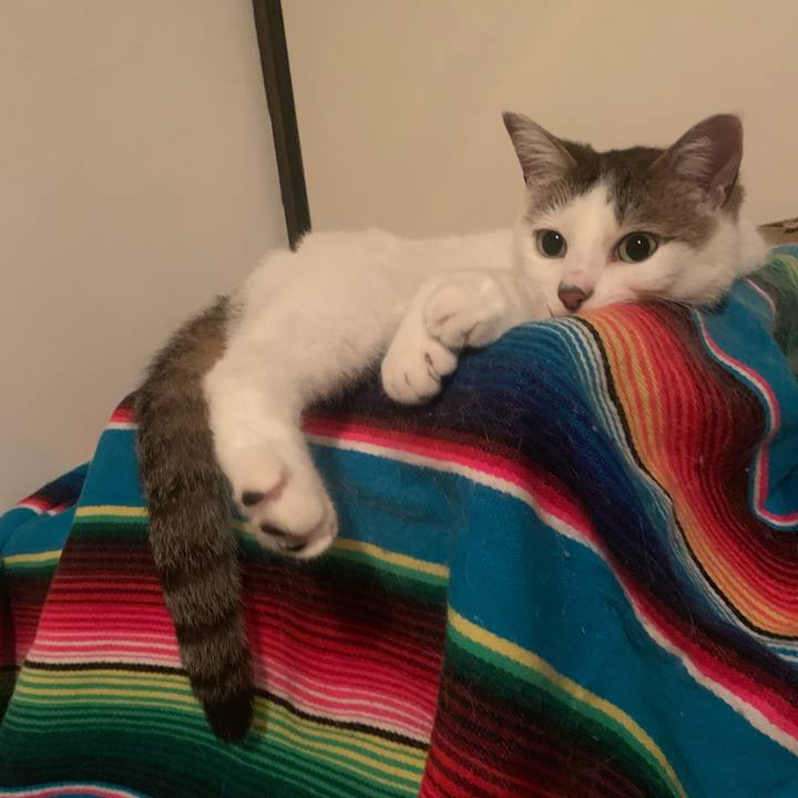 52409a73 ad27 4bbf 932e bba7da59da5b 1686355135784