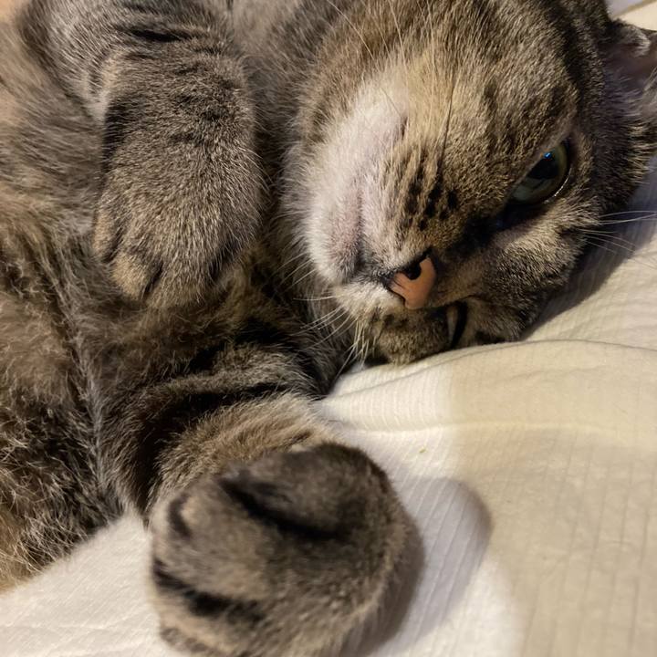 52409e33 1305 4f32 9965 5b976b7d4e54 1746520560733