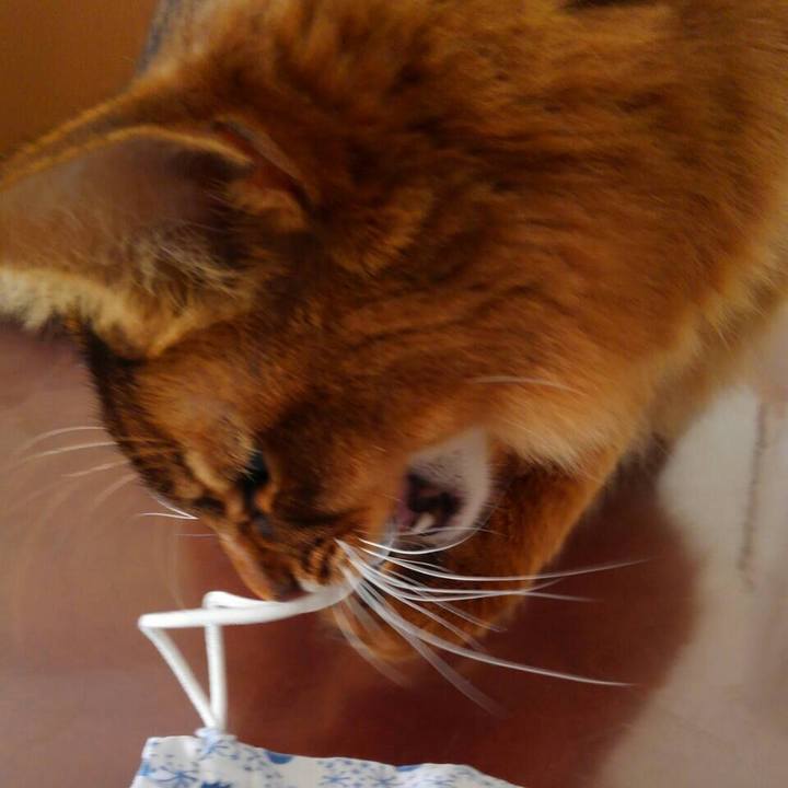 5240a726 26c0 4ff5 9c47 6df765869b05 1617690514488