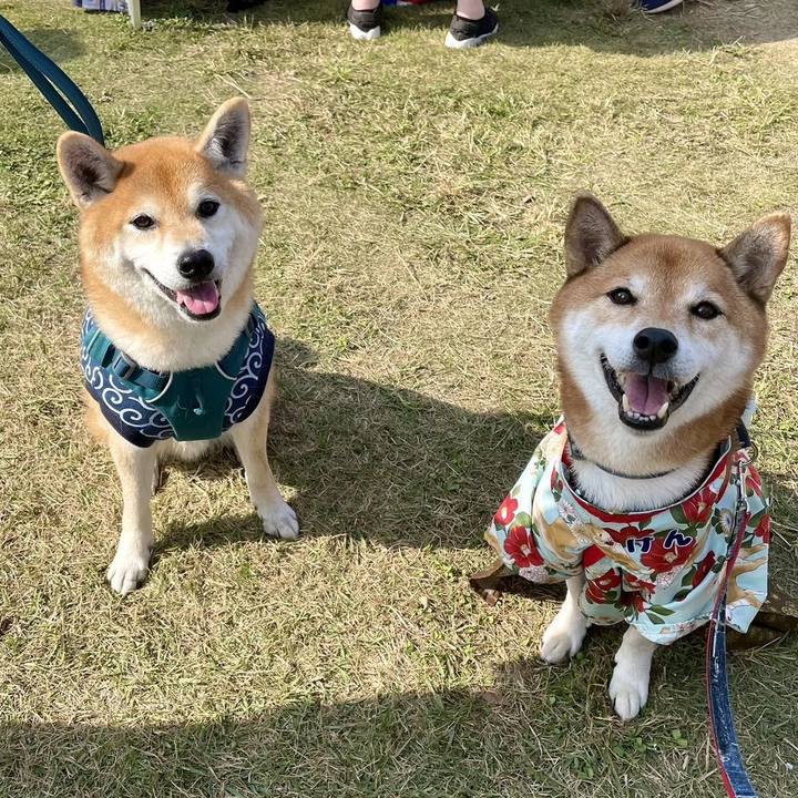 5240bd15 275d 4819 93cd df284f102240 1699581954571