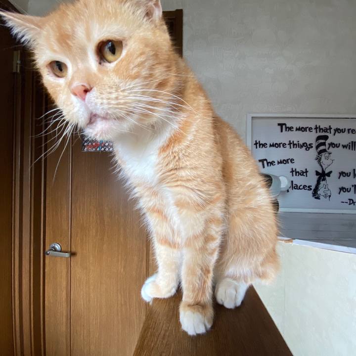 5240f644 955d 4535 9bee 7ed063c5a2e6 1600311639237