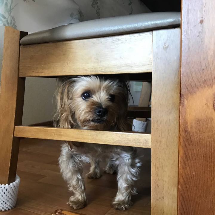 52414d2a f5ea 47f0 81da 62affb5528b0 1563701525627