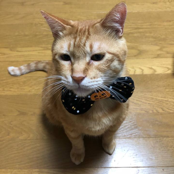 52415ee1 95f2 4e5f b58f 7f5c8bd02dff 1601470209794