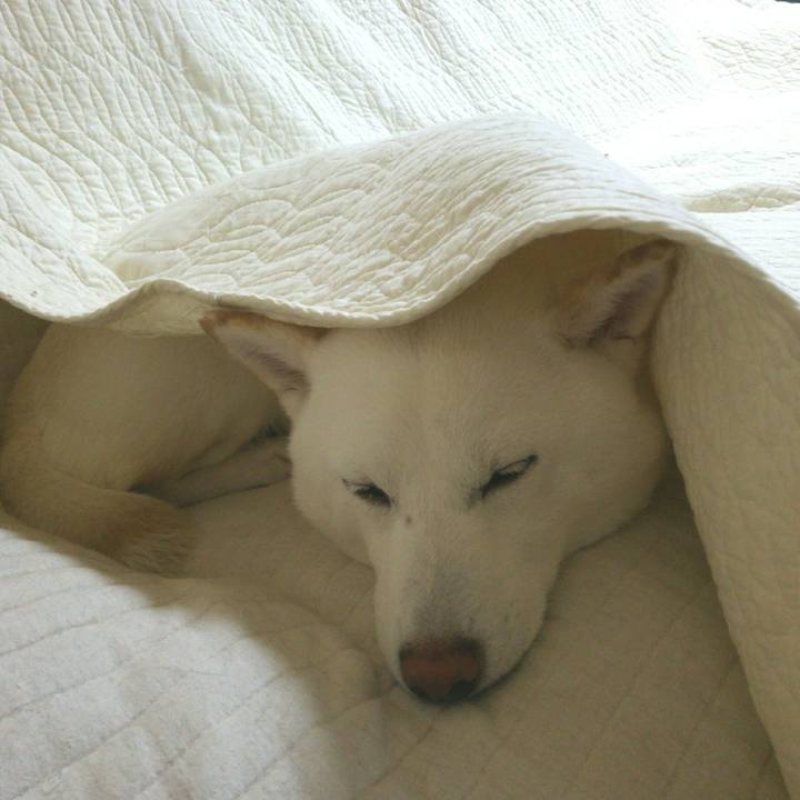 52417d37 f455 495a adf7 2d74a37912fe 1560779856864