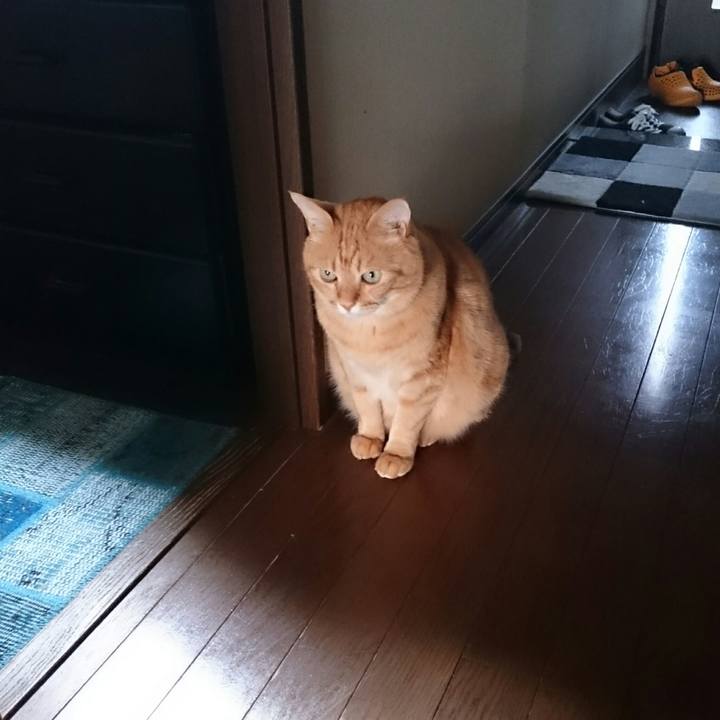 52419649 854b 436c b48d d55088fe8f50 1524387964269