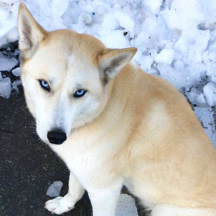 5241a65c ca5c 4be0 be7f 97c13a5acc84 1516939007084