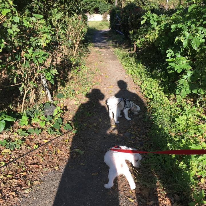 5241afe5 e45c 4139 bf8a 94844cffa0e0 1601445655296