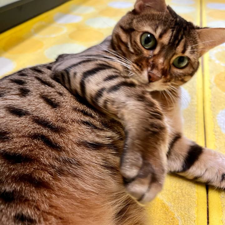 5241cf28 74b6 49d6 89b9 ddd1b96d9d67 1662862274163