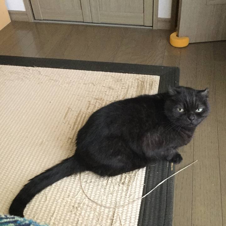 52420e44 3c9b 487b a9c7 8f4c5f305400 1509496486925