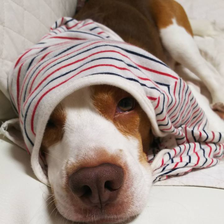 5242205d 512d 4ca3 b234 a4fbdcfae0bd 1567691706323